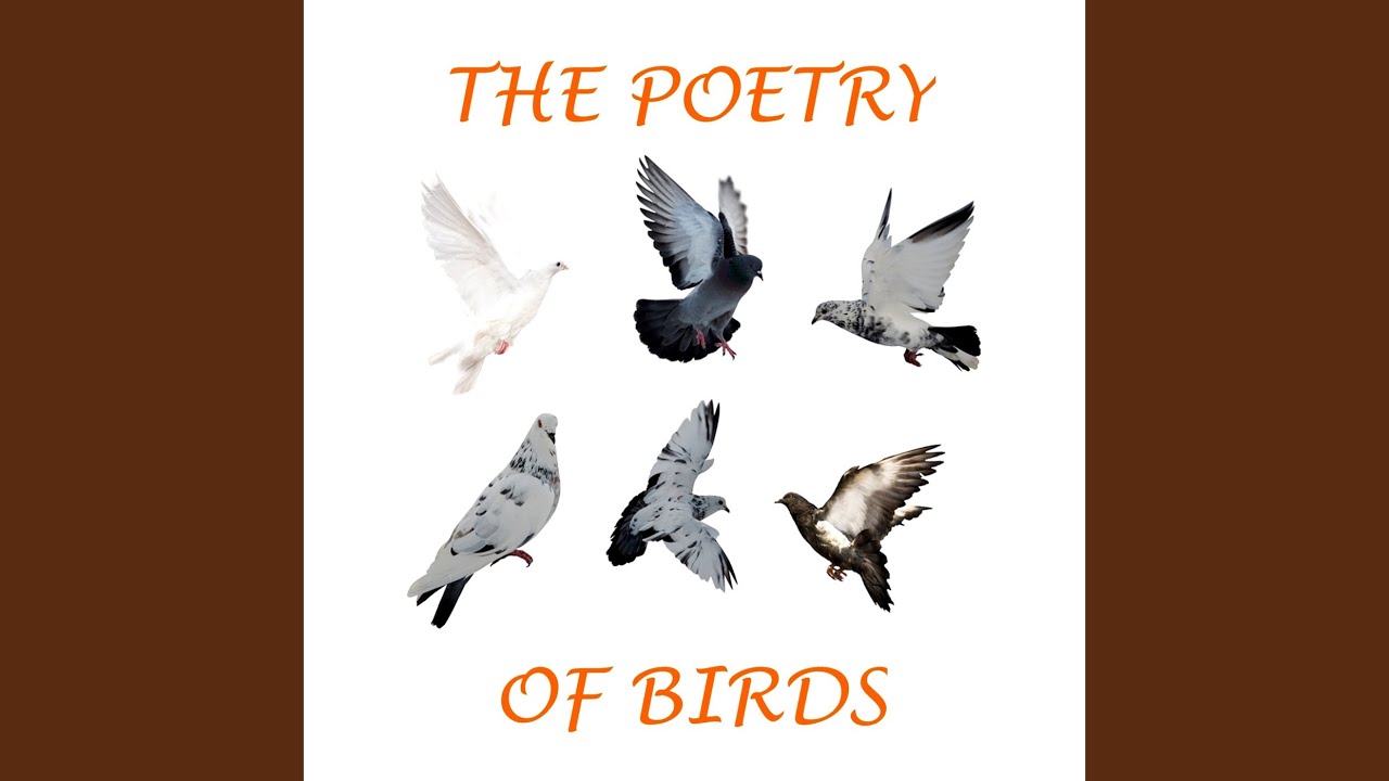 Thomas Hardy - The Darkling Thrush