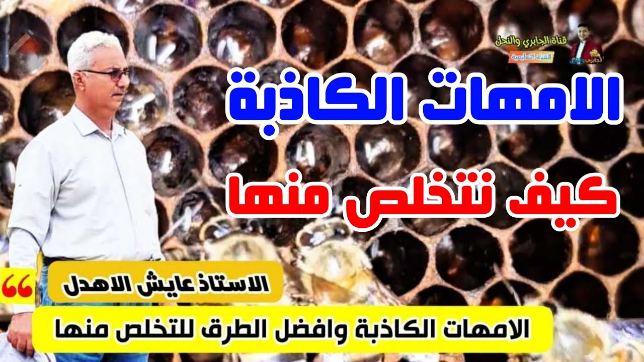 افضل الطرق للتخلص من الامهات الكاذبة 💥 الخلايا المكذبة 💥 الاستاذ عايش الاهدل 