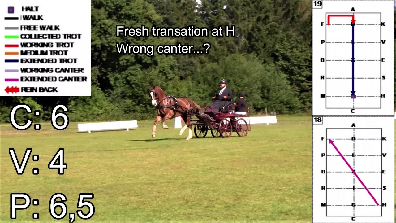 2* HP1, 56,38 P / 64,8 %, Mailunds Ddraigh and Aksel S. Jensen. Characters and Comments from Judges.