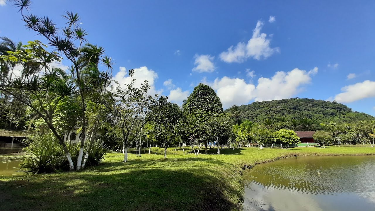 Chácara em Mongaguá, com Pomar e Tanques de peixes!! 9.600m²