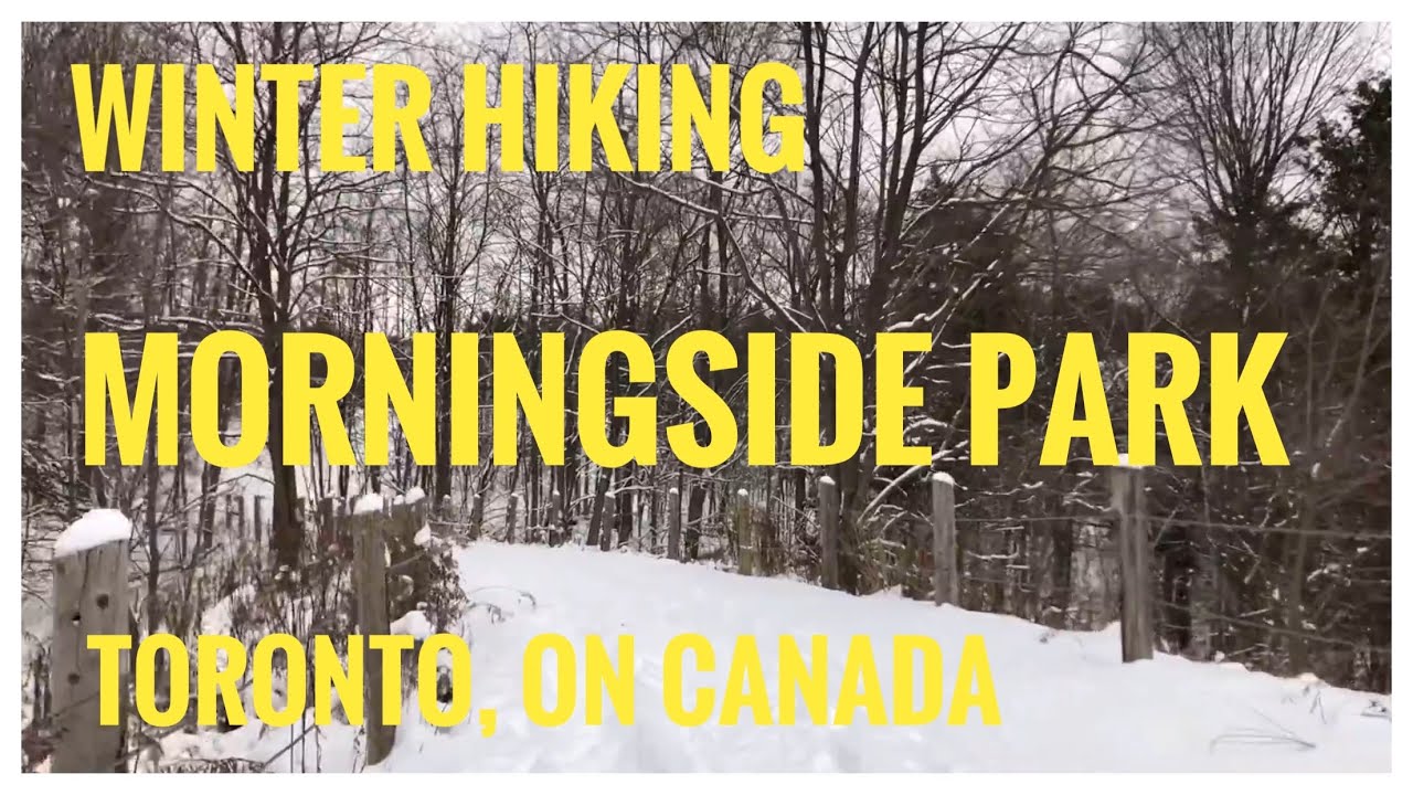 Morningside Park in Toronto, ON Canada -Winter Hiking, 겨울나들이