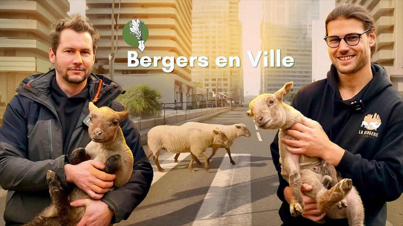Bergers en ville - et si on renouait avec l'agriculture ?
