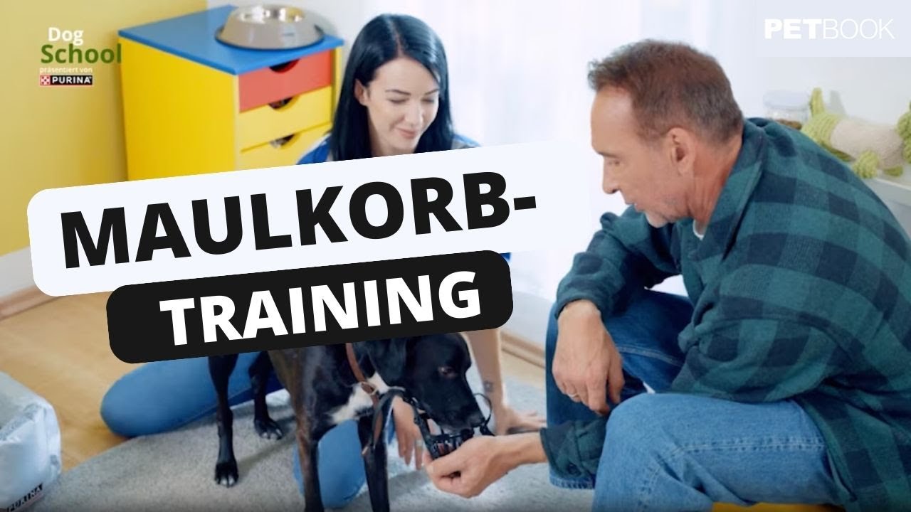 So gew&ouml;hnst du deinen Hund an den Maulkorb | Dogschool I PETBOOK