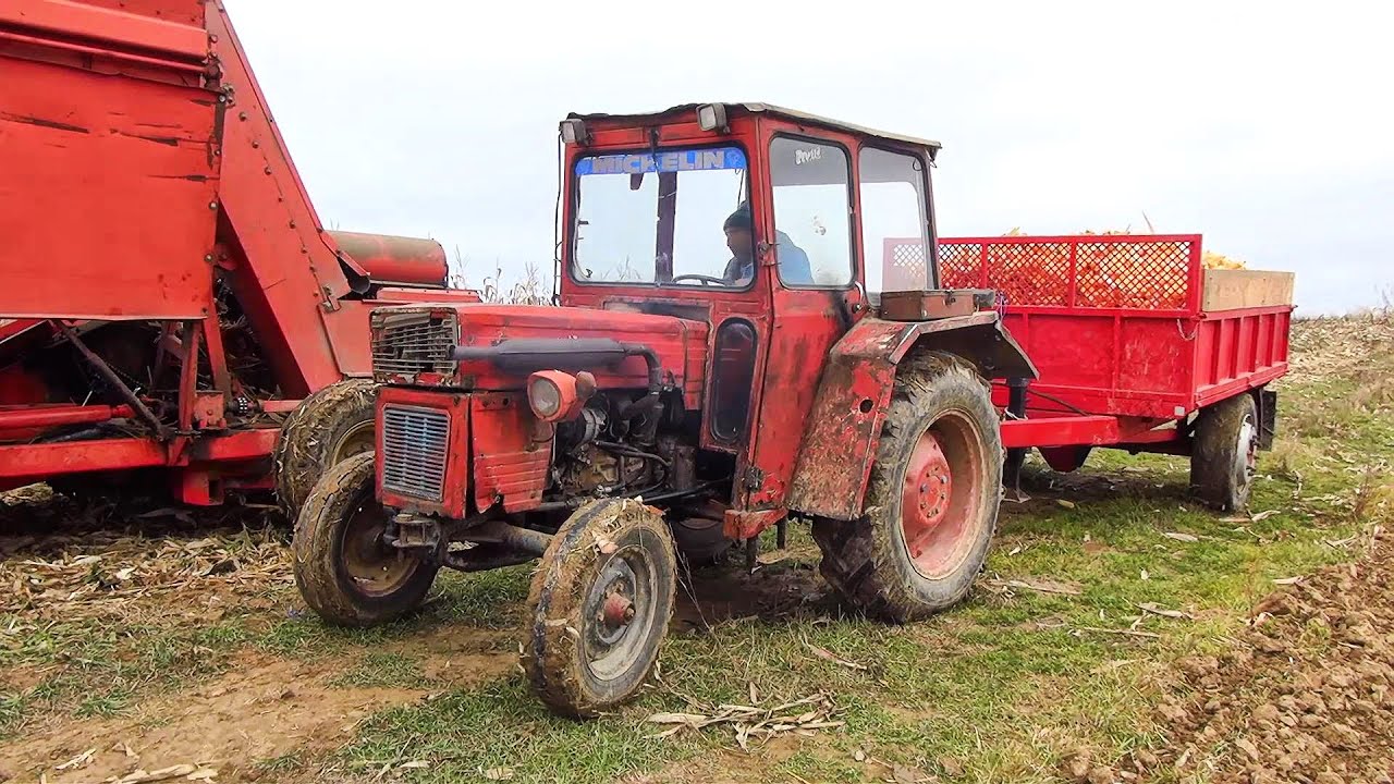 Mergem cu tractorul UTB445 la câmp după știuleții de porumb recoltați cu ZMAJ 223 și Lamborghini 956