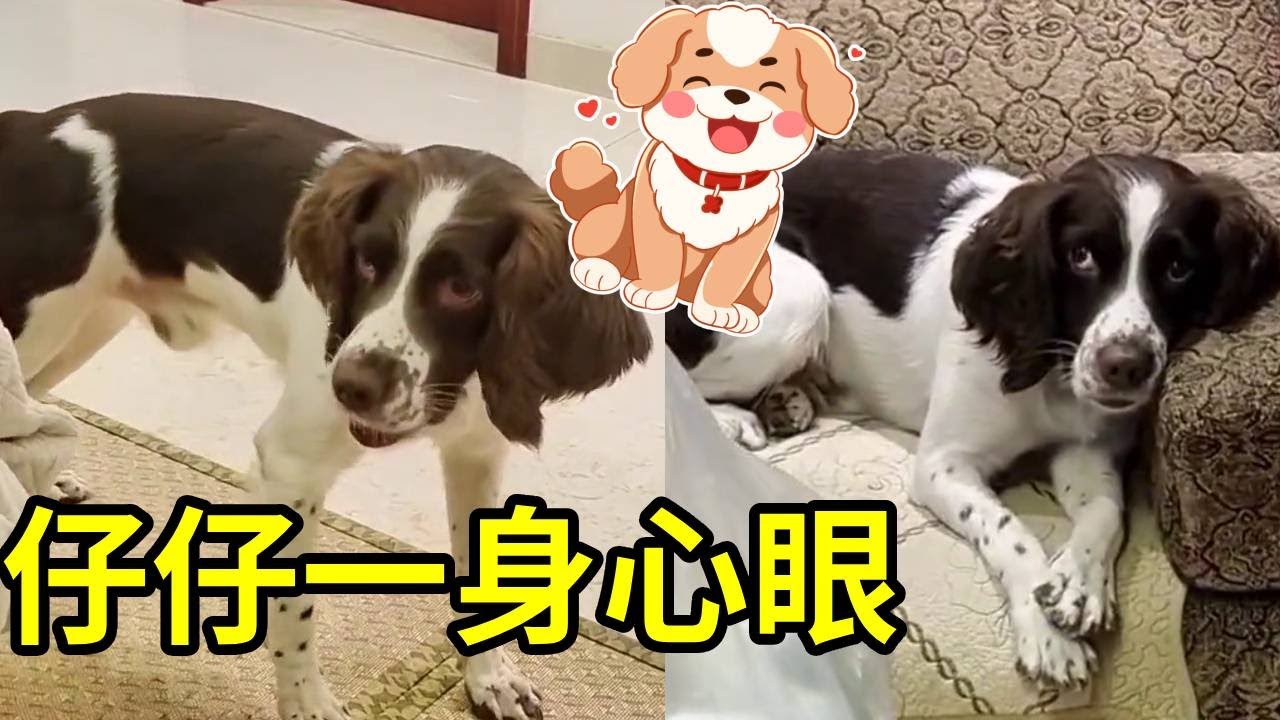 仔仔：垃圾是不可能扔滴，包子是必须要两个肉的！✦靓仔日记✦