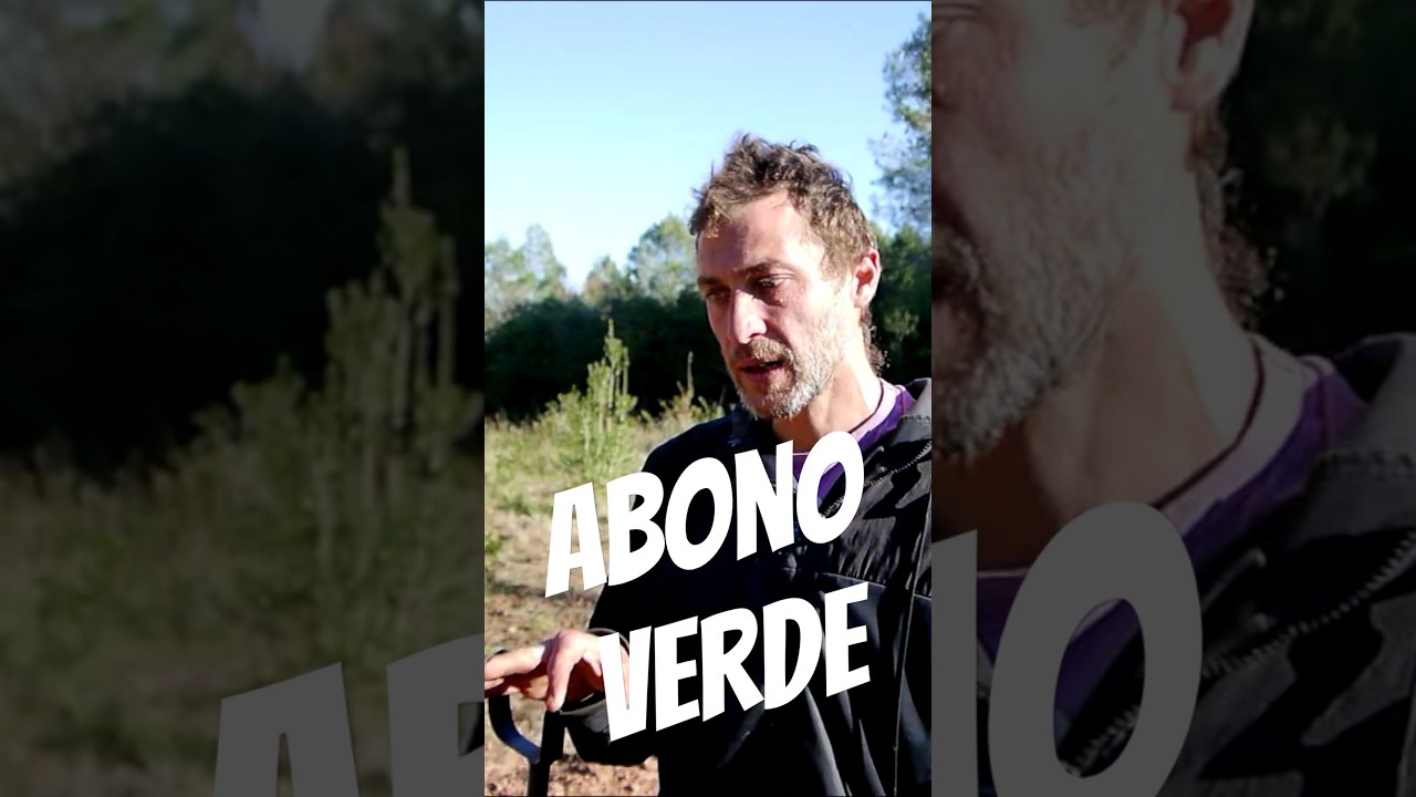 ABONO VERDE. ¿Qué semillas debes plantar para regenerar la tierra?