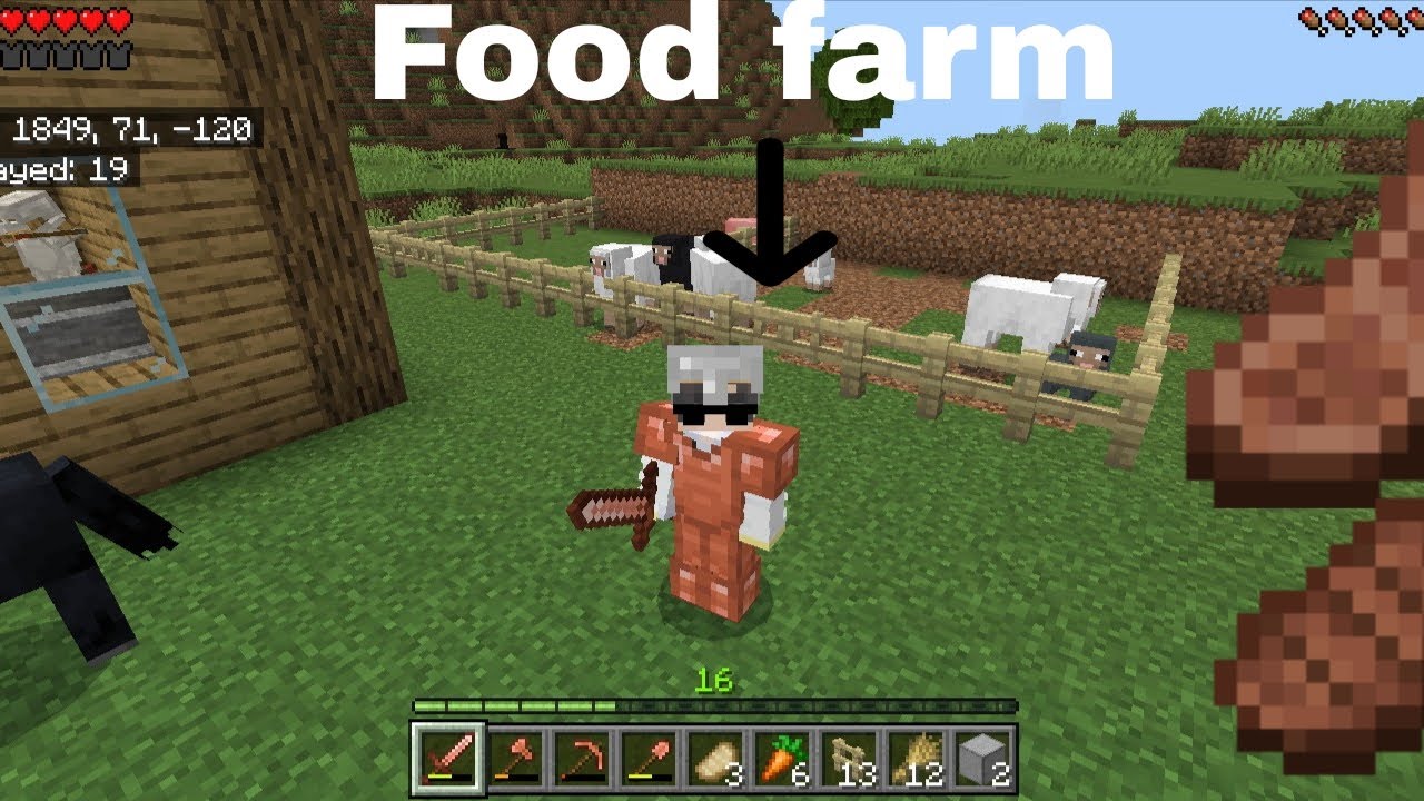 Making food farm in my survival world 😄😄