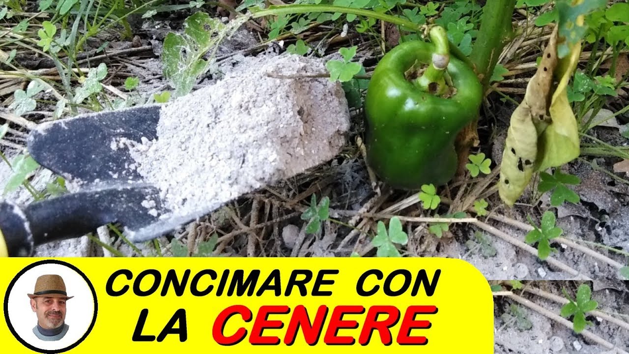 CONCIMARE CON LA CENERE