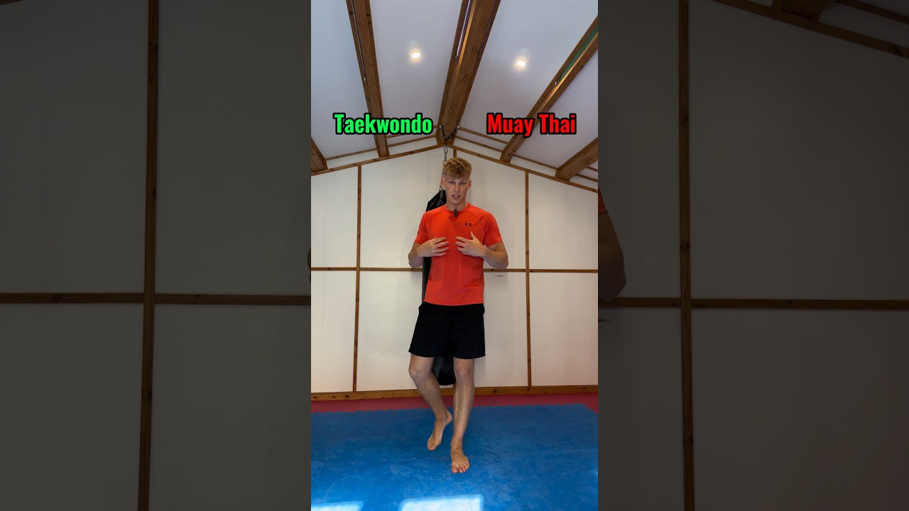Taekwondo VS Muay Thai👊which one you choosing?