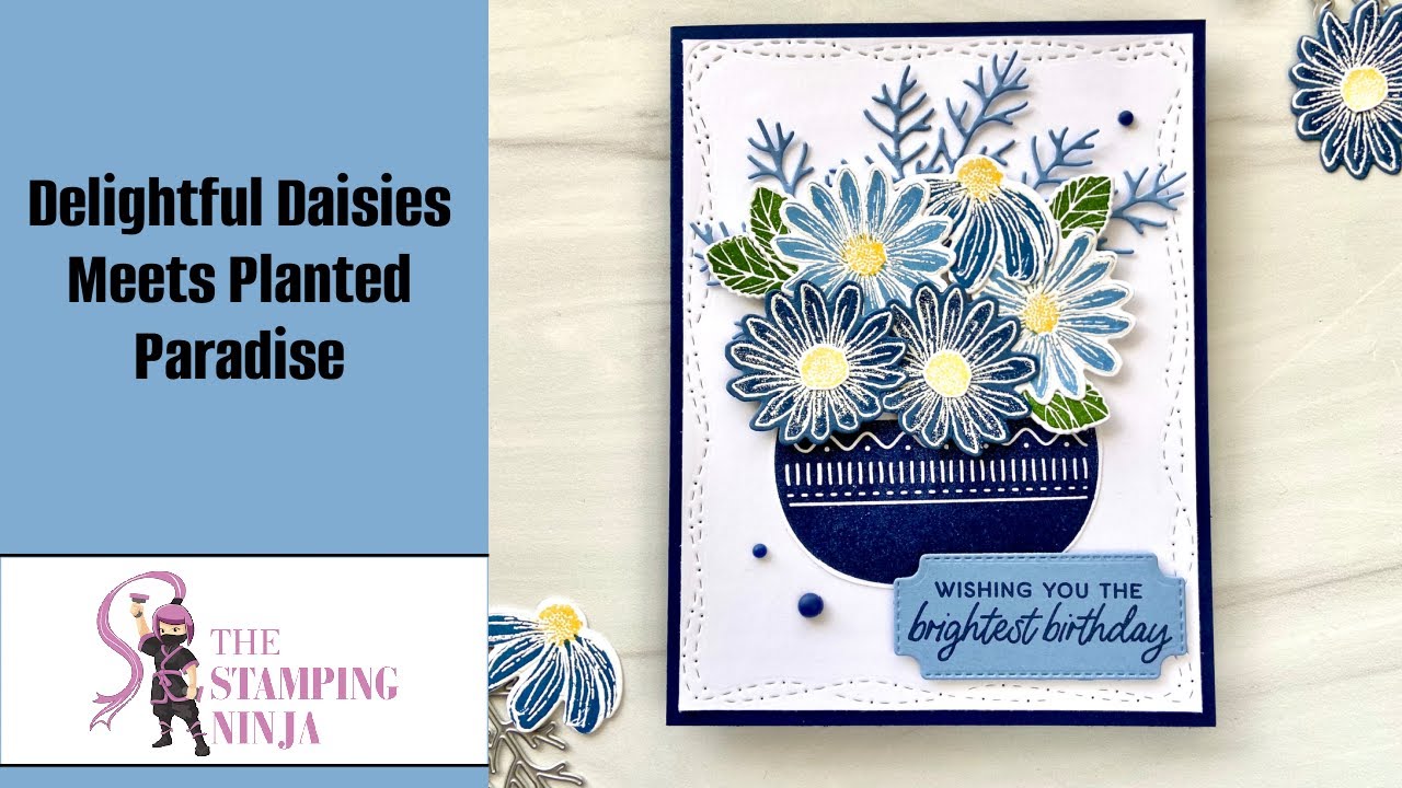 Cheerful Daisies Meets Planted Paradise