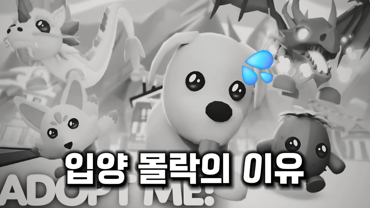 입양하세요, 왜 나락갔을까