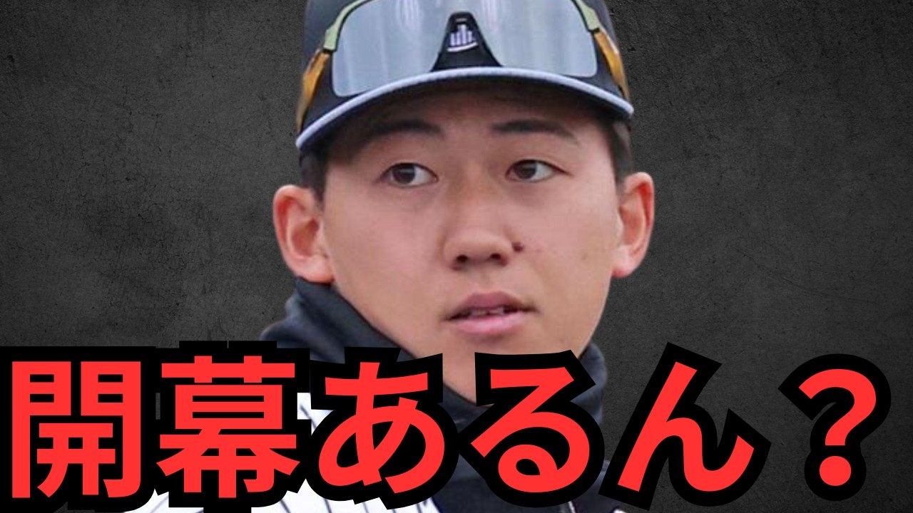 立石英才教育やな〜 これで開幕スタメンあったら凄いけど他の選手どう思うんやろ？？？てか嶋村早く支配下してや！！ええ選手やわ！若手捕手と左の代打、両方解決するんちゃう？？？