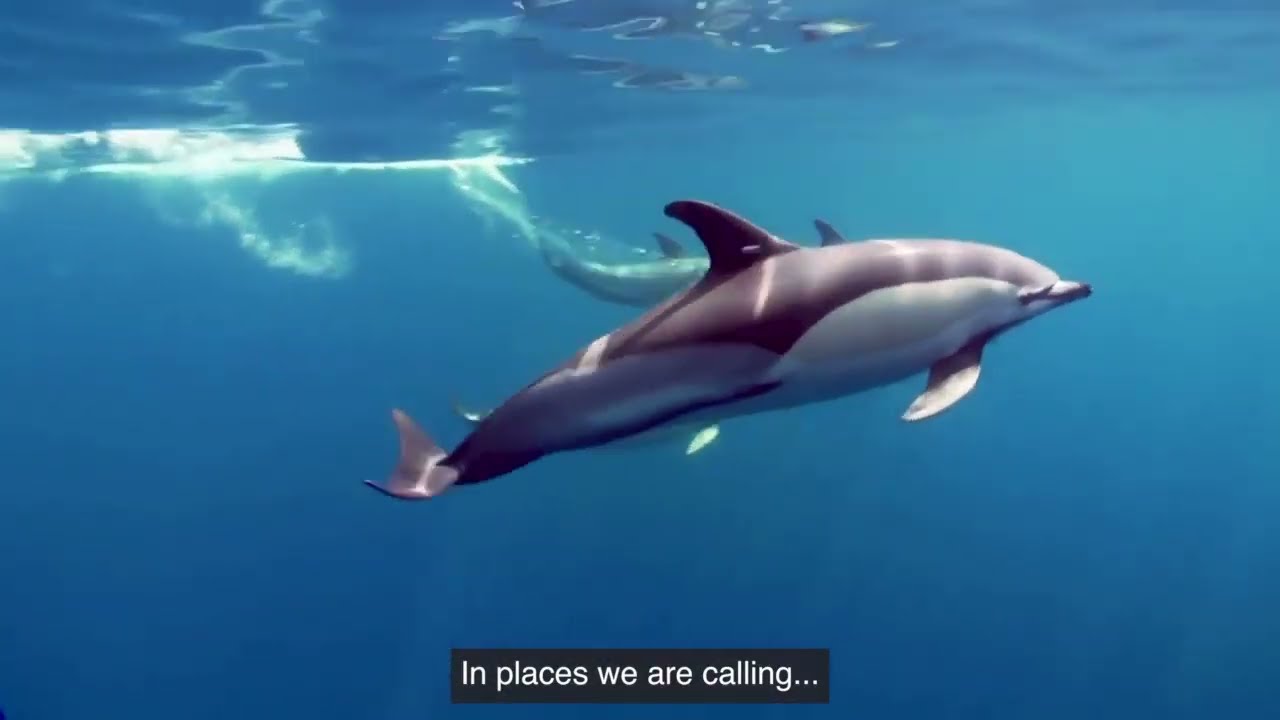 How we're protecting wildlife in their natural habitats