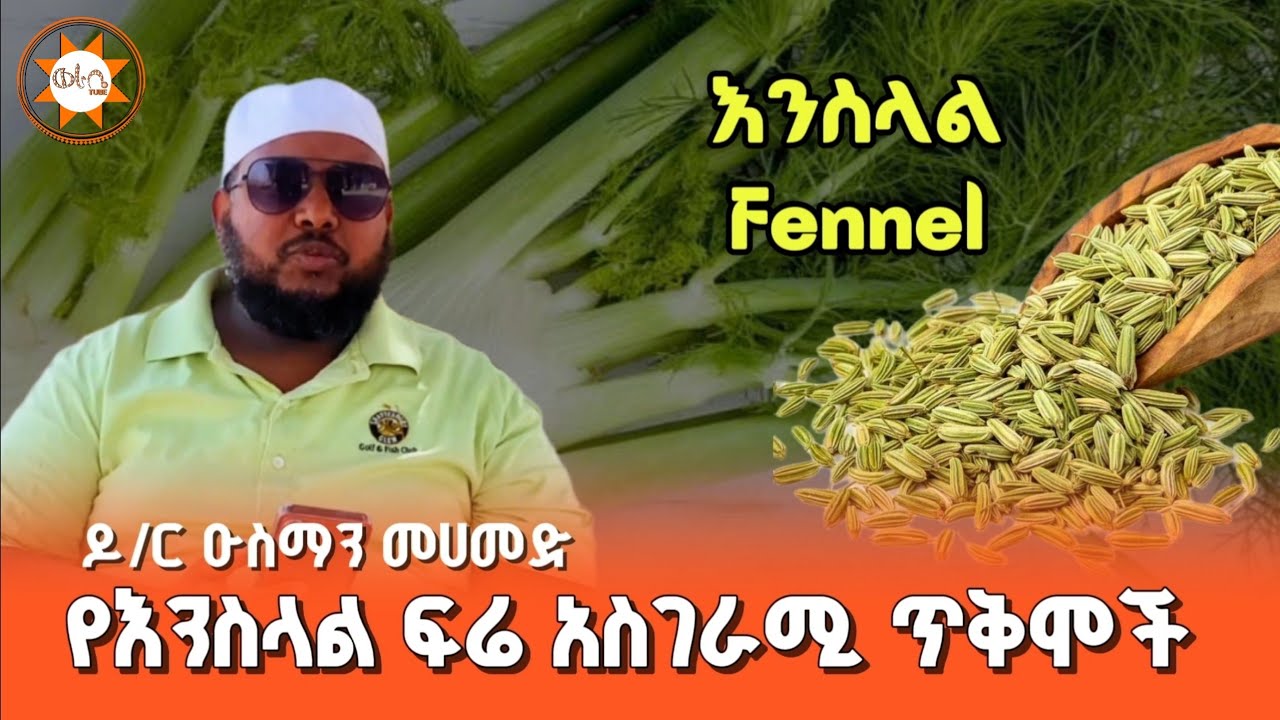 የእንስላል ፍሬ አስገራሚ ጥቅሞች - ዶ/ር ዑስማን መሀመድ || Fennel || Dr Ousman Mohammed 
