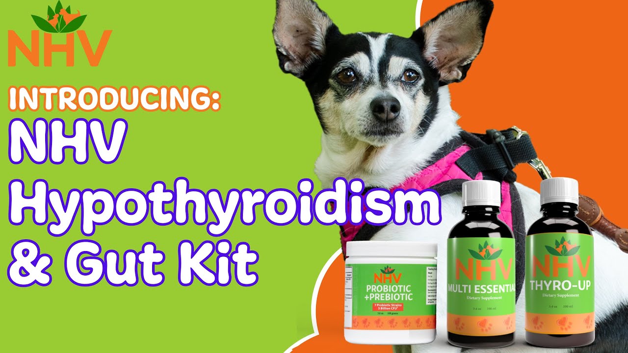 Introducing NHV Hypothyroidism & Gut Support Kit