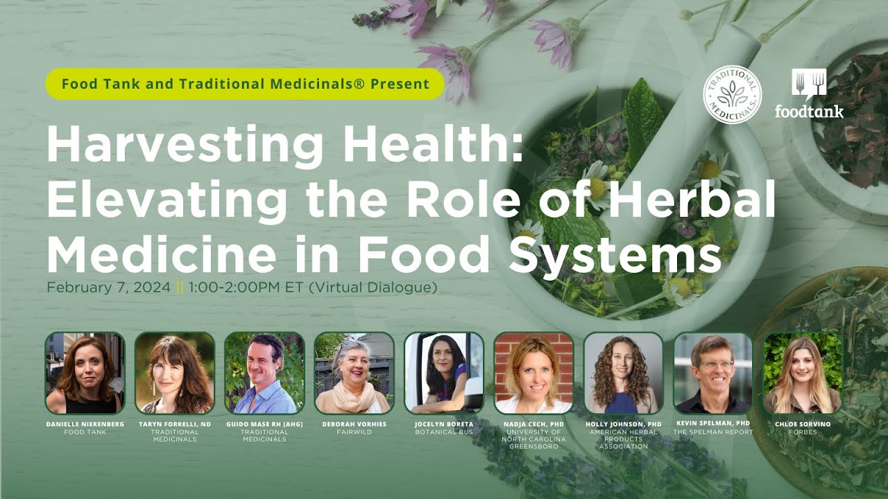 Harvesting Health: Elevating the Role of Herbal Medicine in Food Systems