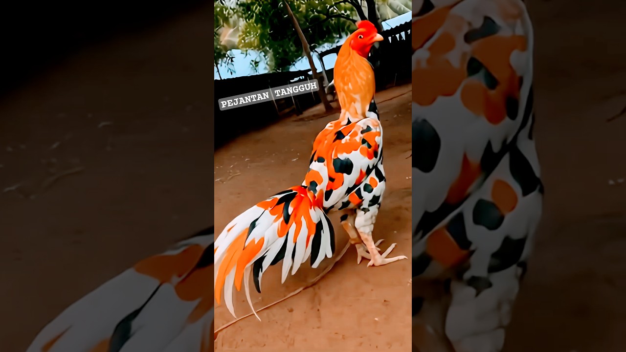 #ayam #keren #with #monsterhunter #aivideo