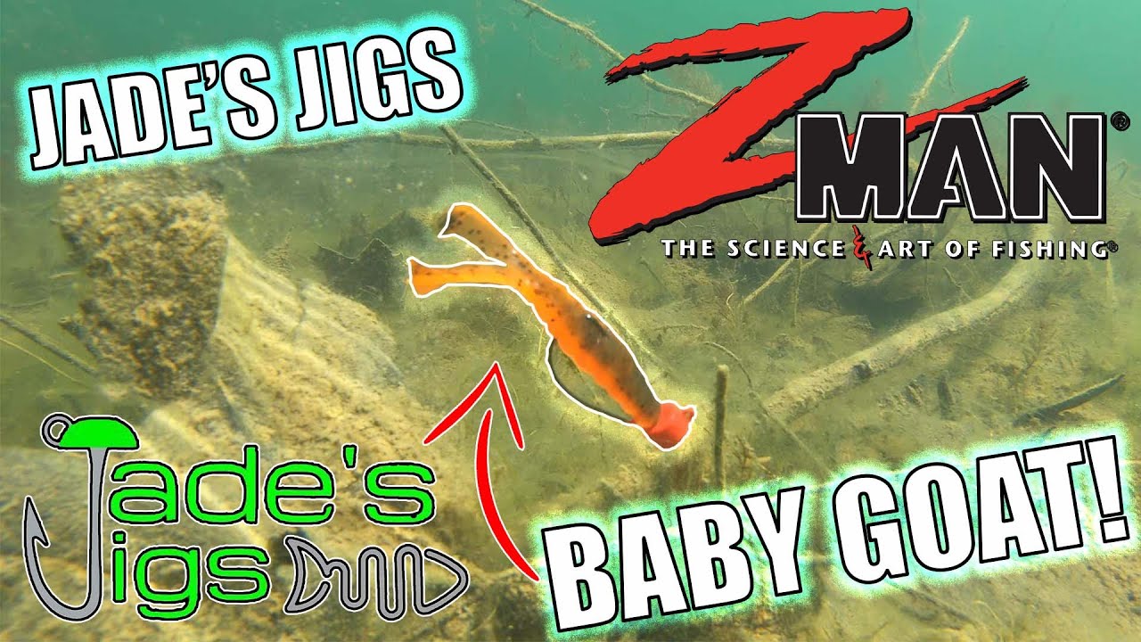 Zman Fishing Baby Goat with Jade's Jigs EWG Finnesse Jig | Underwater Lure Showcase 1 | #shorts