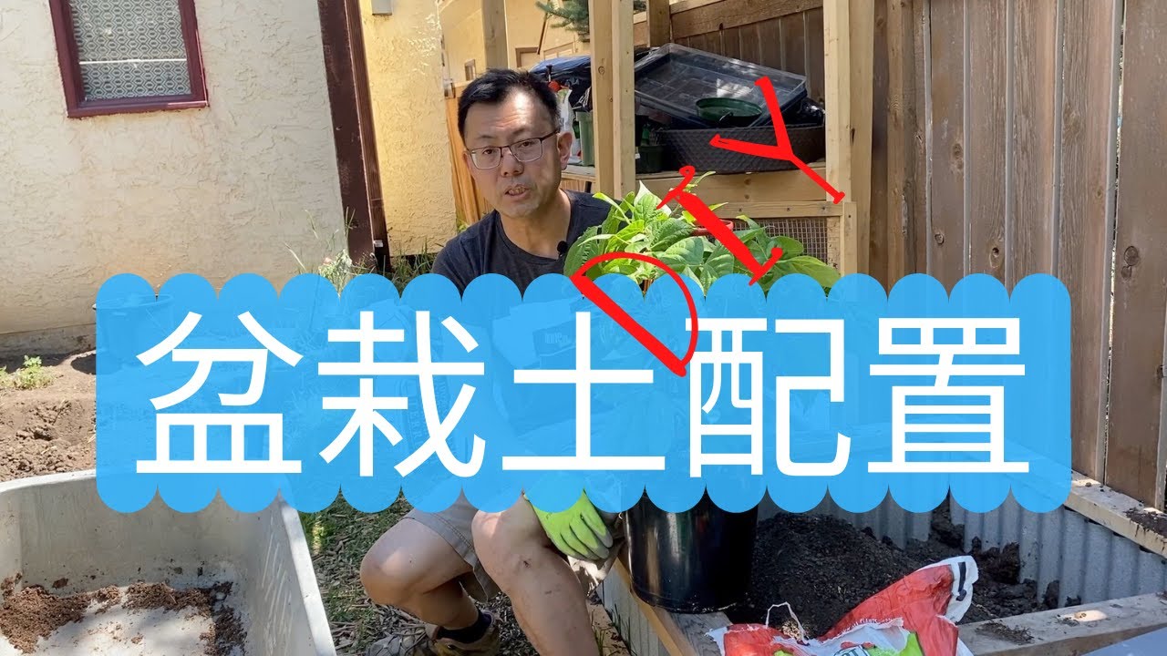 盆栽土壤配置及DIY配方，盆栽种菜可以用菜园土吗？盆栽蔬菜可以直接使用Potting Mix吗？