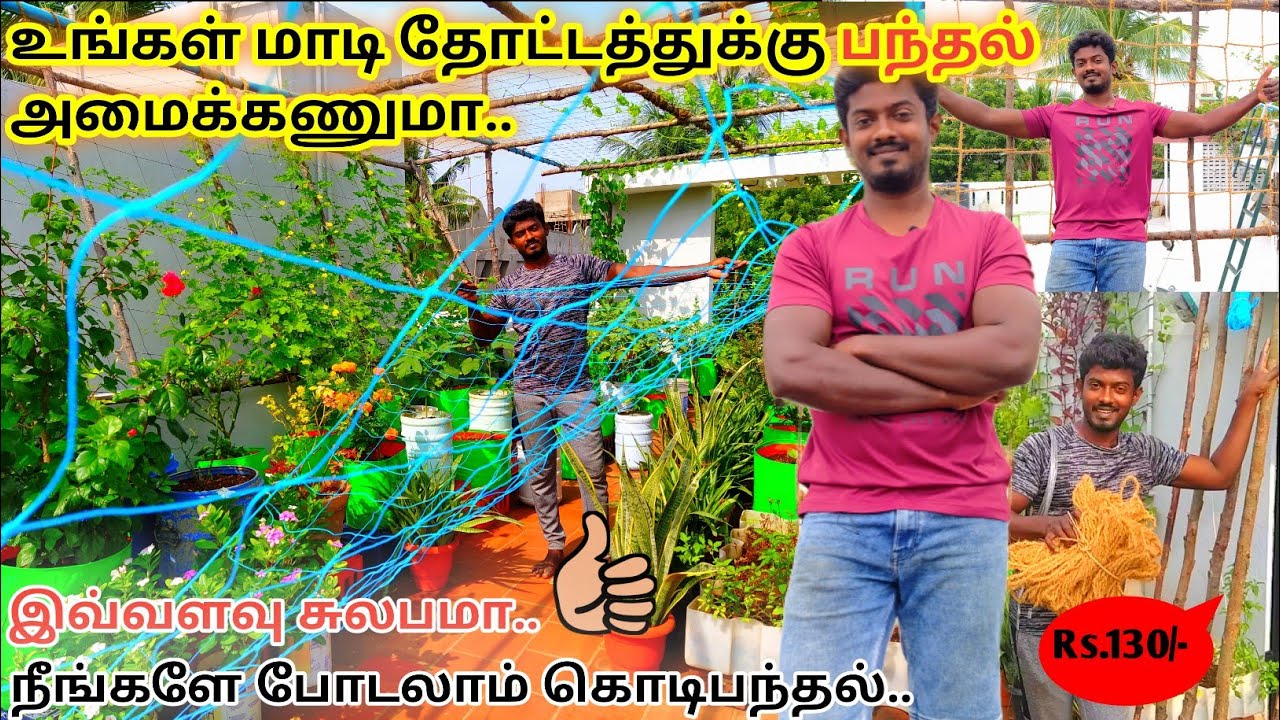 மாடி தோட்டத்துக்கு பந்தல் போடணுமா🌱 | இவ்வளவு எளிமையா ஒரு வழி இருக்கா👌🏻 | PANTHAL FOR TERRACE GARDEN🌷