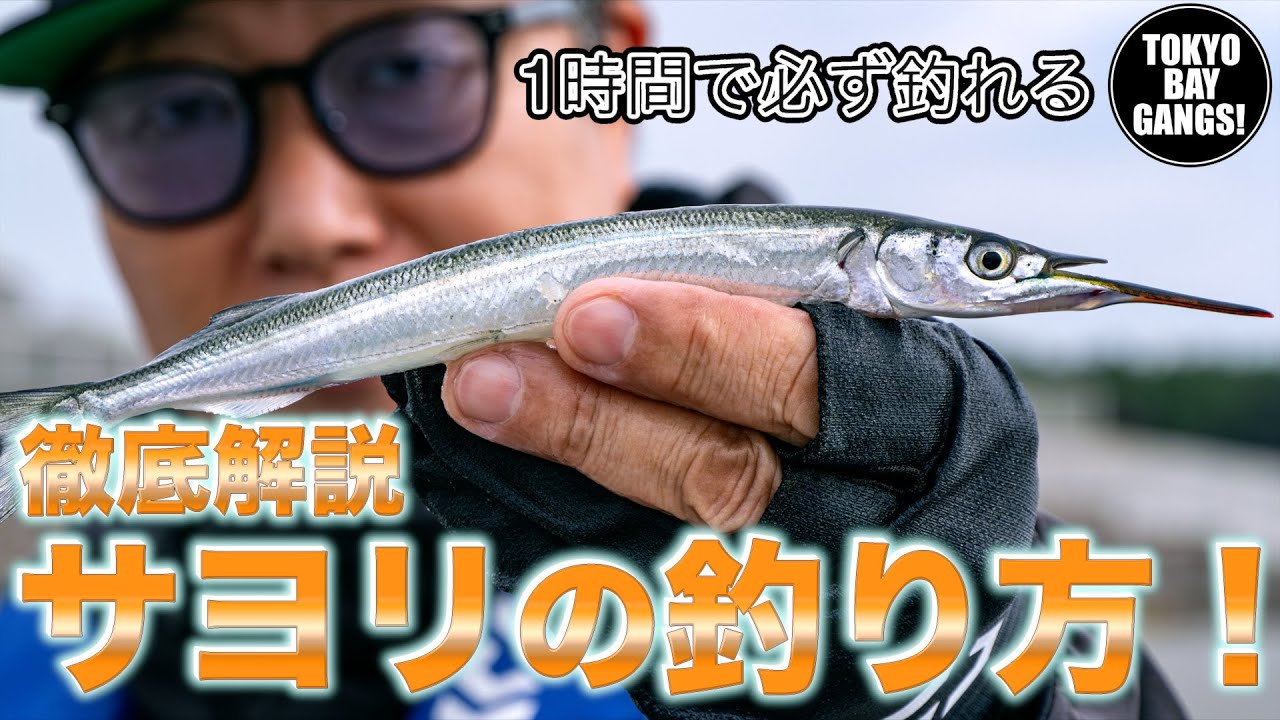 【初心者必見】1時間で必ず釣れる！サヨリの釣り方 徹底解説 TOKYO BAY GANGS!