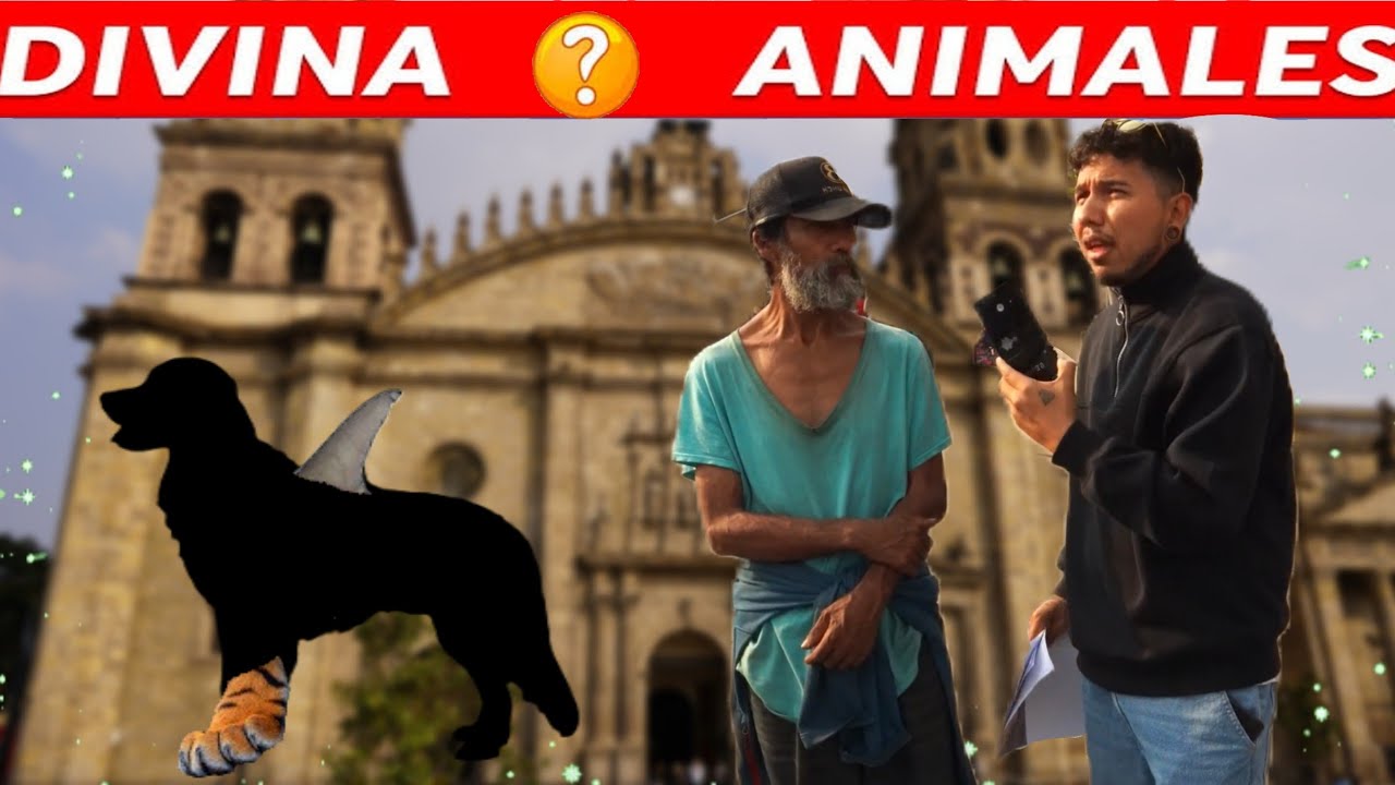 ADIVINA EL ANIMAL | NADIE ADIVINA 👀🤣