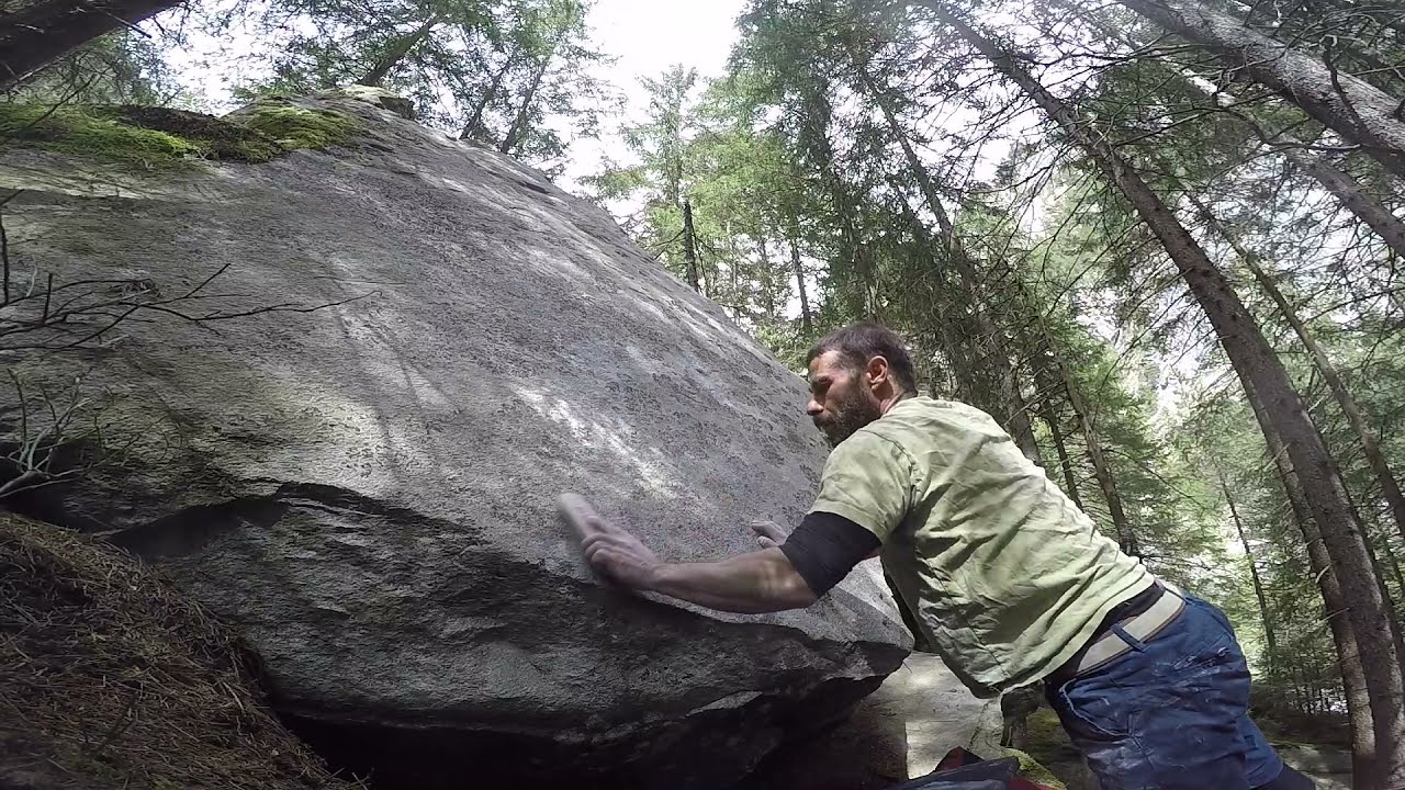 Bodhis diaries 2021 1