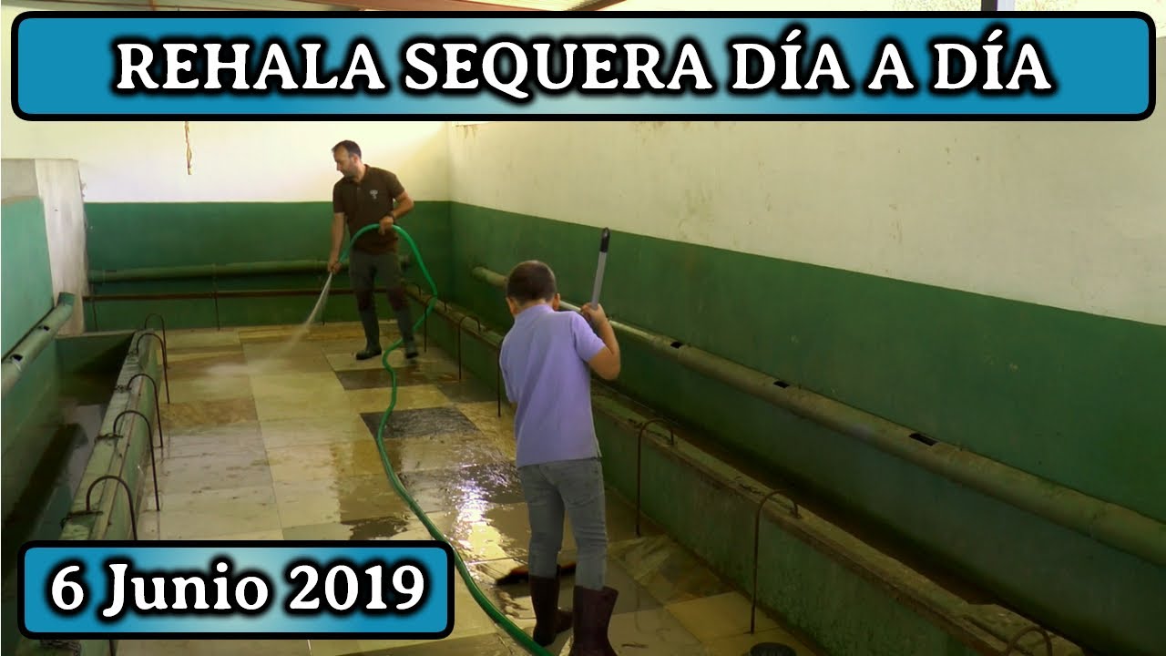 REHALA SEQUERA DÍA A DÍA 2019