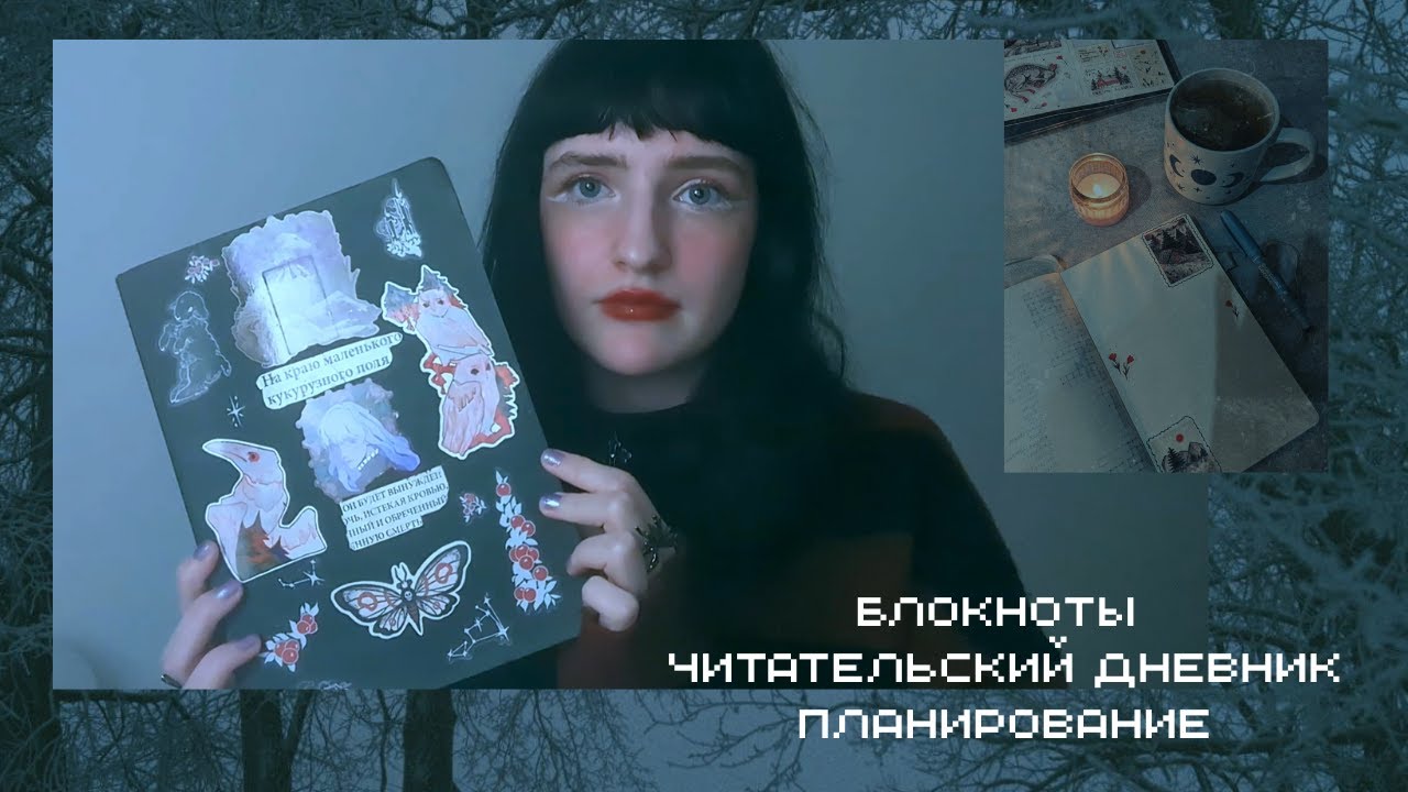 ✸ обзор блокнотов | планирование, эксперименты, читательский дневник ✸