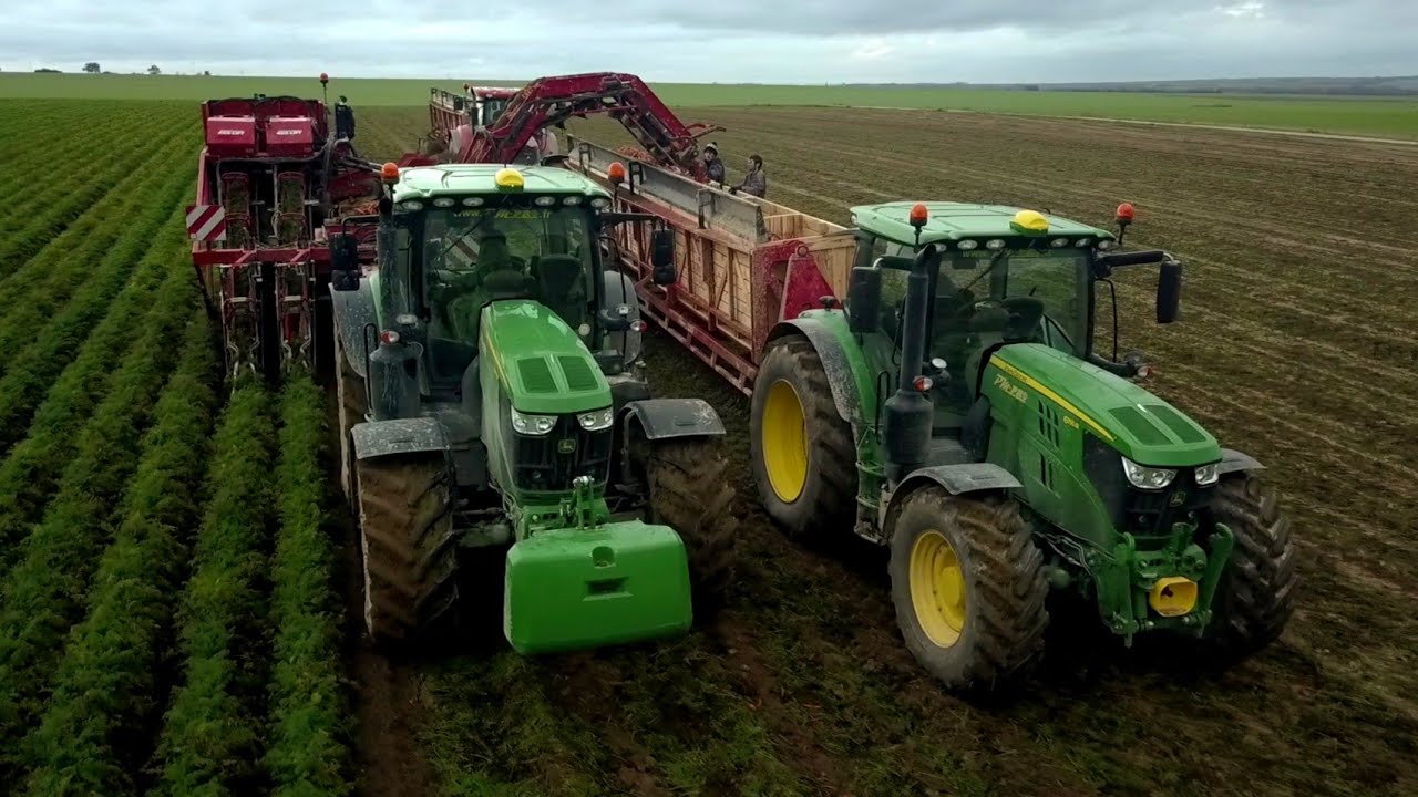 ‼️ARRACHAGE DE CAROTTES 2020 - PLATEAUX INCLINÉS! -JOHN DEERE/ CASE-‼️🥕🥕