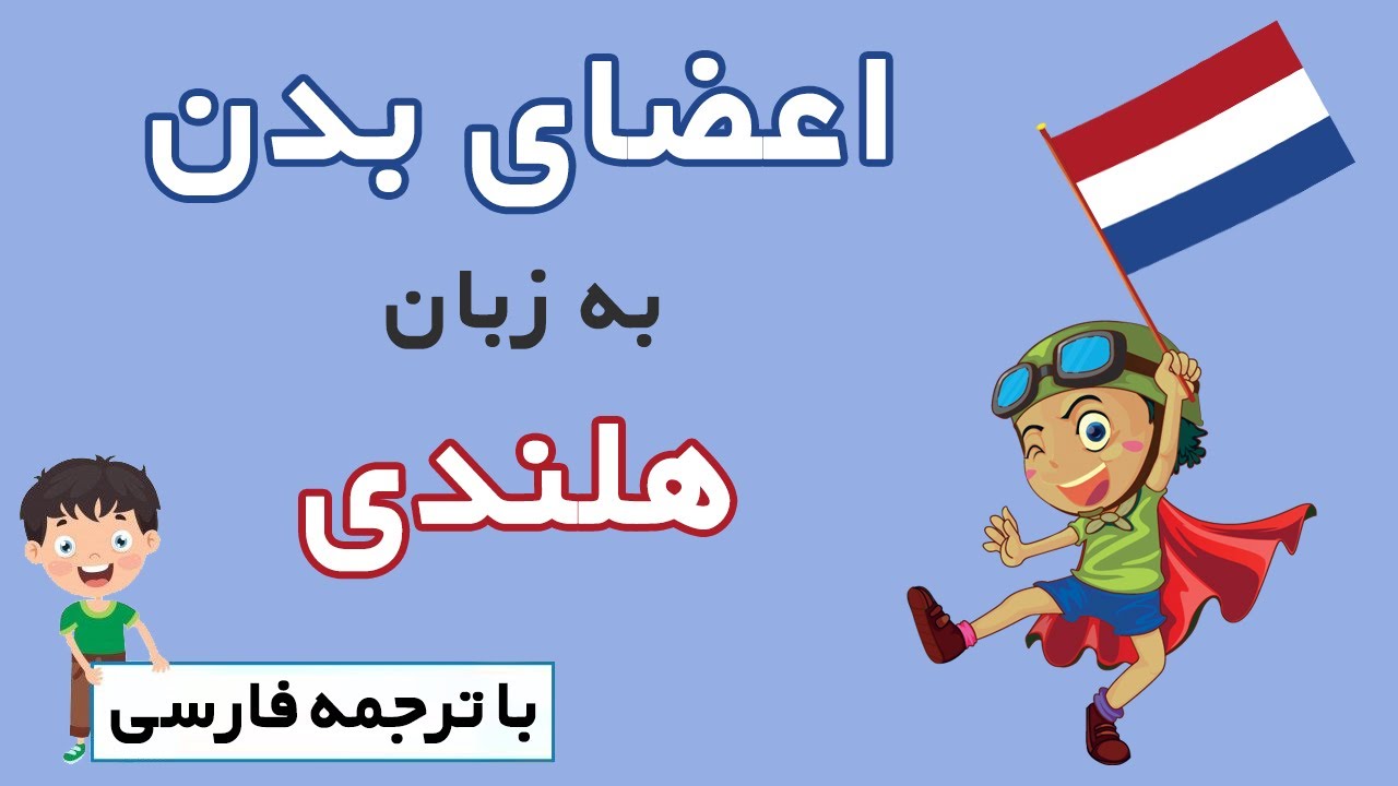 اعضای بدن به زبان هلندی با ترجمه فارسی