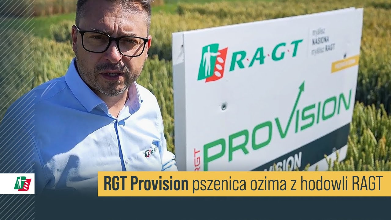 Pszenica RGT Provision 🌾📈 Pszenica ozima jakościowa RAGT 