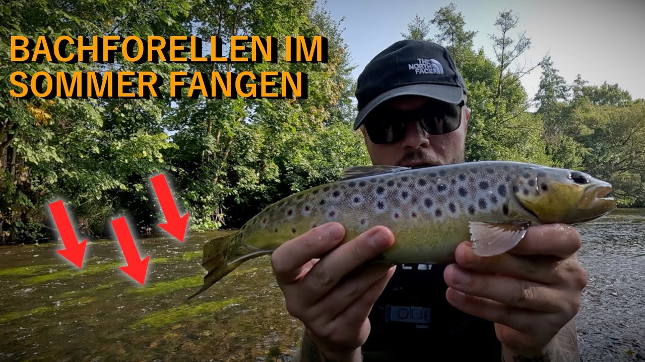 Forellenangeln an der Bode im Harz | Livebiss |Spinnfischen