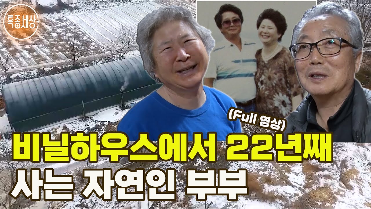 [특종세상] 비닐하우스에서 22년째 자연인의 삶을 살고 있는 부부의 사연 [Full영상]