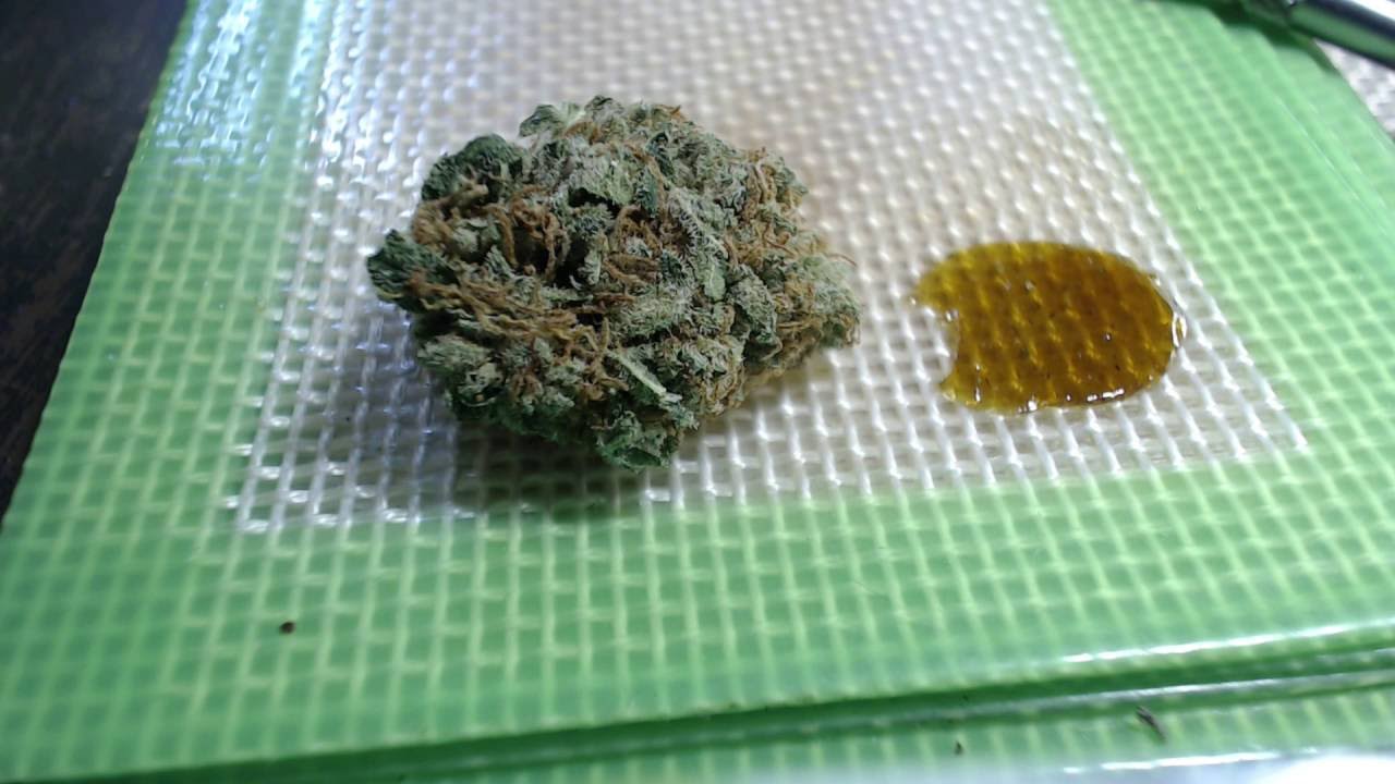 Strain Review - Cbk - CBD Kush - MMJ Total Health Care