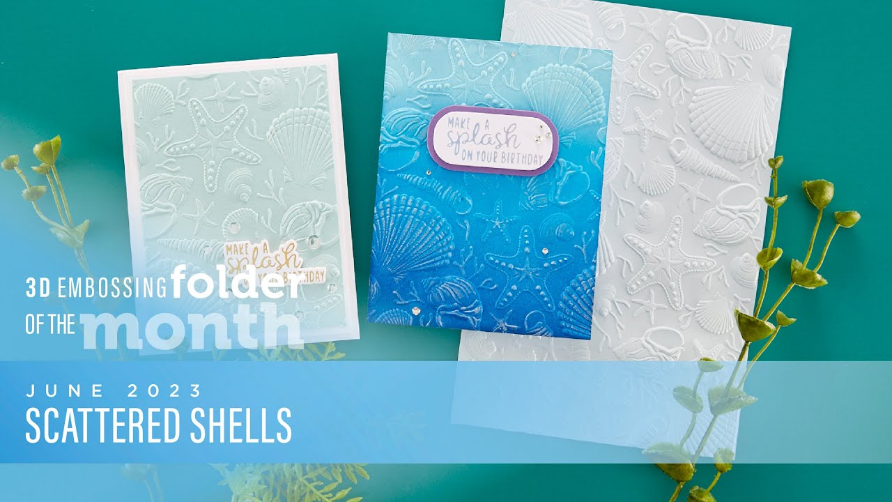 Spellbinders June 2023 3D Embossing Folder of the Month &ndash; Scattered Shells