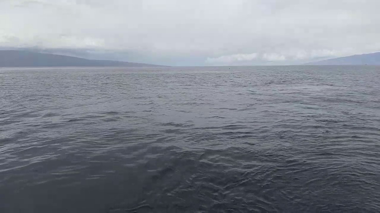 Submarine surfacing