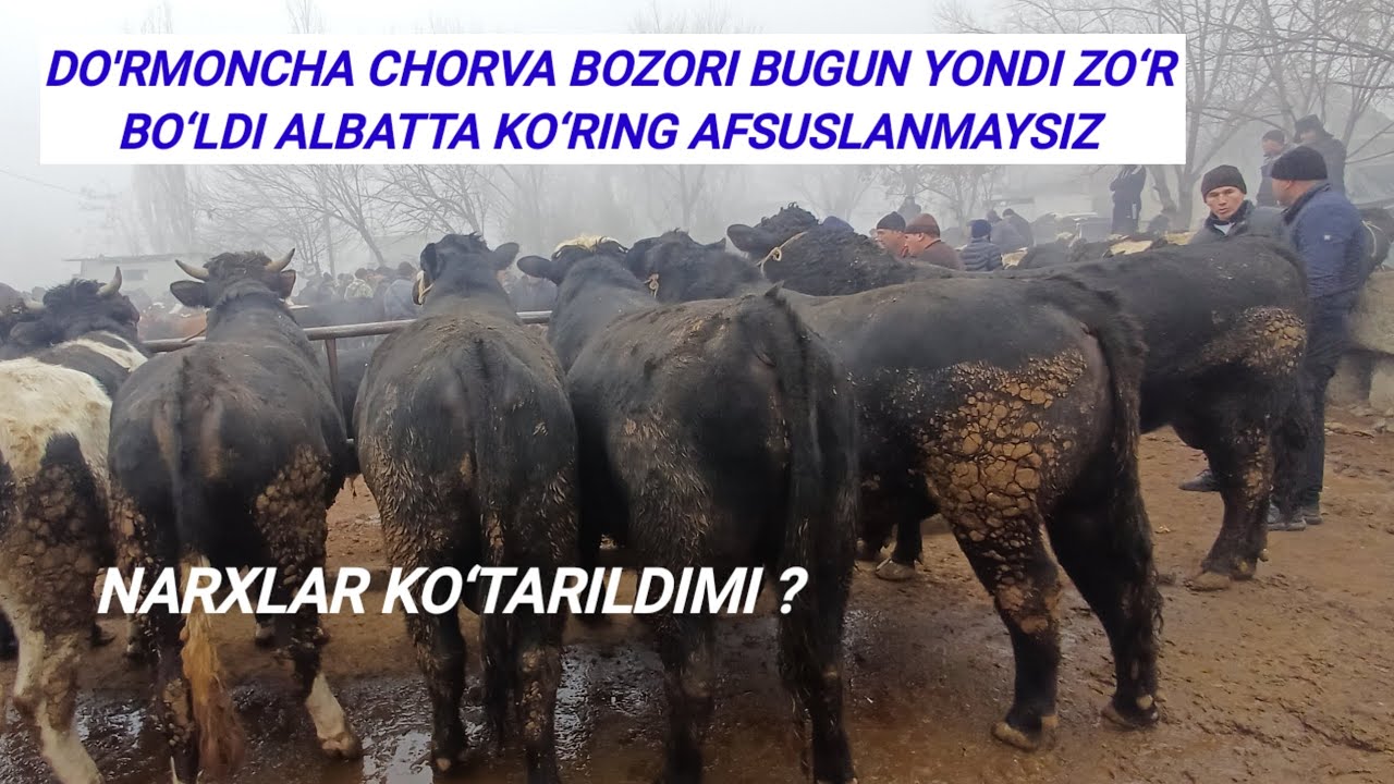 VOYDOD DO'RMONCHA BOZORI AVJIDA HALI BUNAQASI BO‘LMAGAN OXIRIGACHA KO‘RING AFSUSLANMAYSIZ20.01.2026 