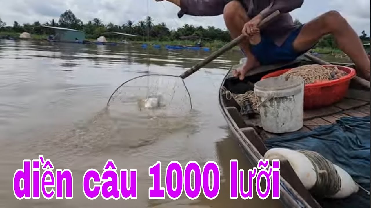Trúng Mánh Đường Câu Giăng 1000 Lưỡi Chạm Trán Lưới Neo Từ Cao Lãnh Xuống # SĂN BẮT ĐỒNG THÁP #