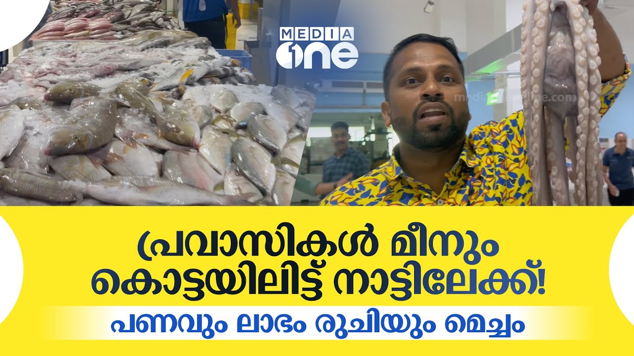 പ്രവാസികൾ മീനും കൊട്ടയിലിട്ട് നാട്ടിലേക്ക്! പണവും ലാഭം രുചിയും മെച്ചം | Dubai | Pravasi | Fish
