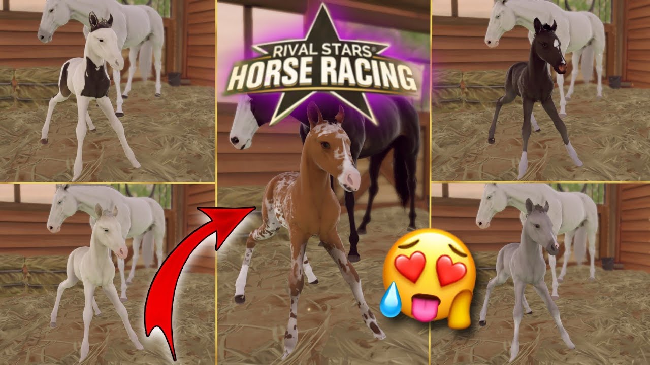 Hoduje źrebaki! Rival Stars Horse Racing Desktop Edition!