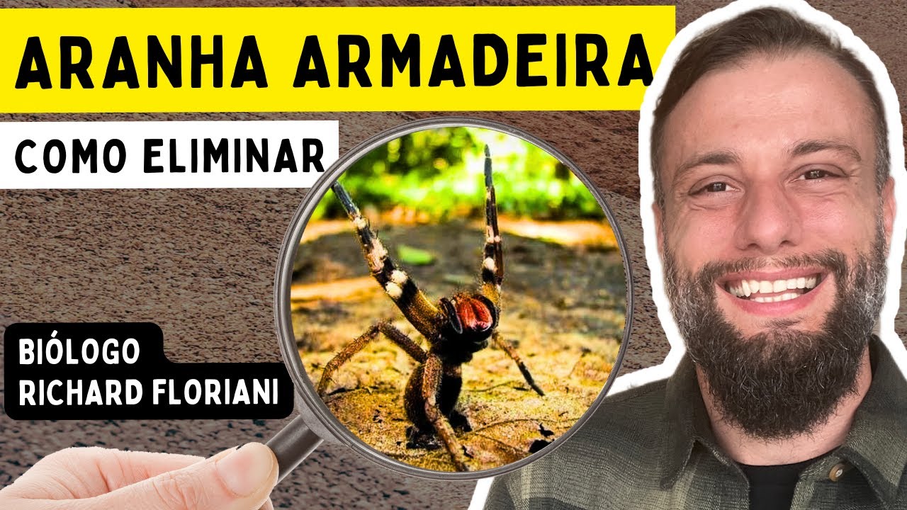 NÃO USE Spray! 🕷️ O jeito certo de ACABAR com a Aranha Armadeira