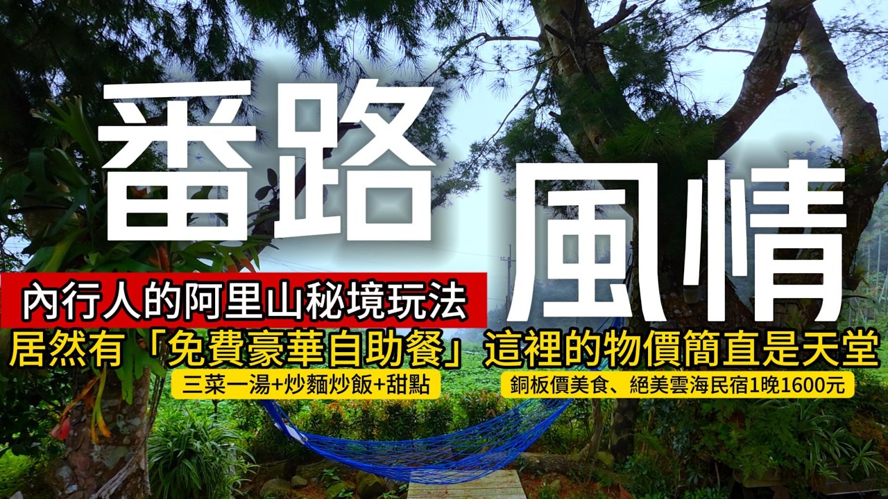 內行人玩阿里山❶❗『免費豪華自助餐』假日限定❗「天堂地獄反差」的絕美瀑布｜看日出雲海不需人擠人｜阿里山❌嘉義番路｜TAIWAN｜