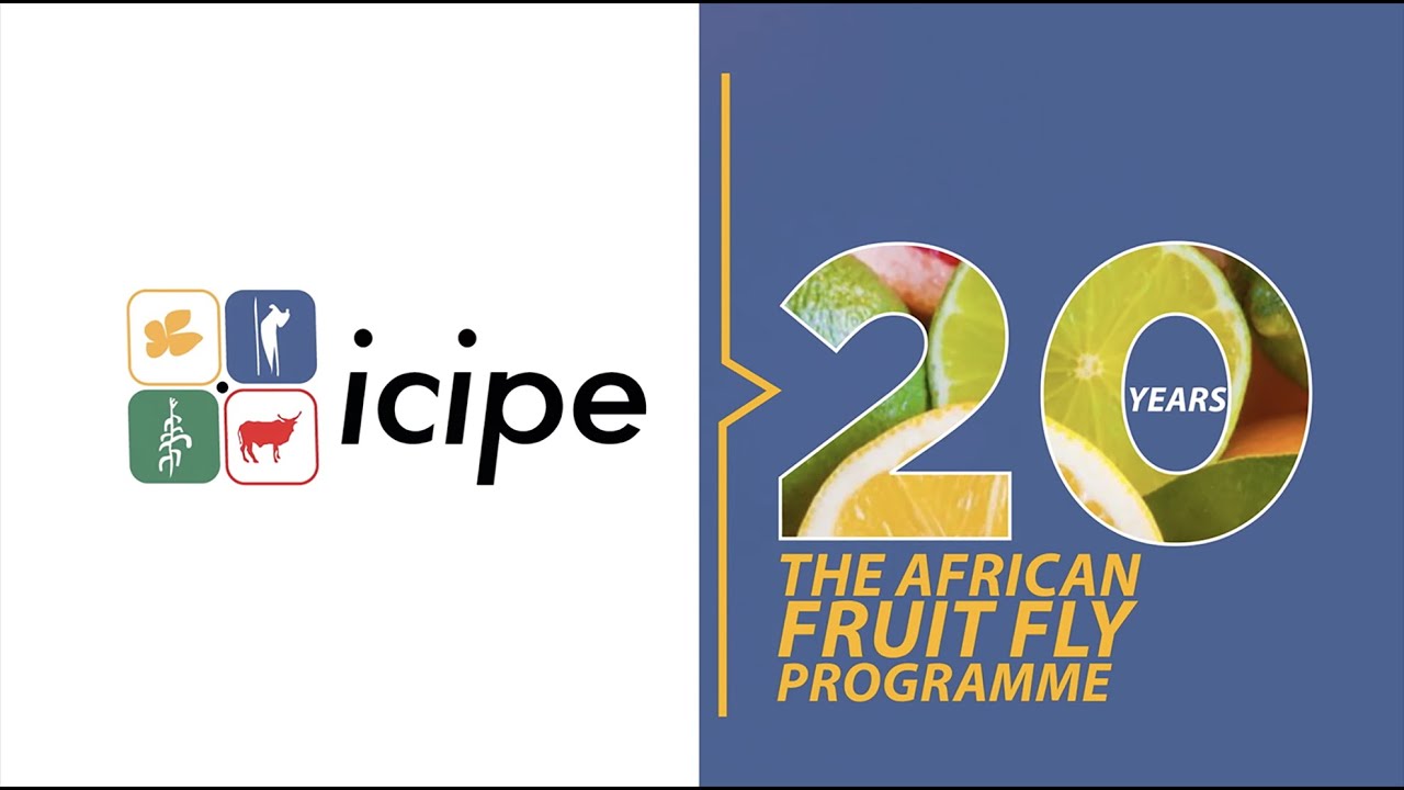 African Fruit Fly Programme – 20 years