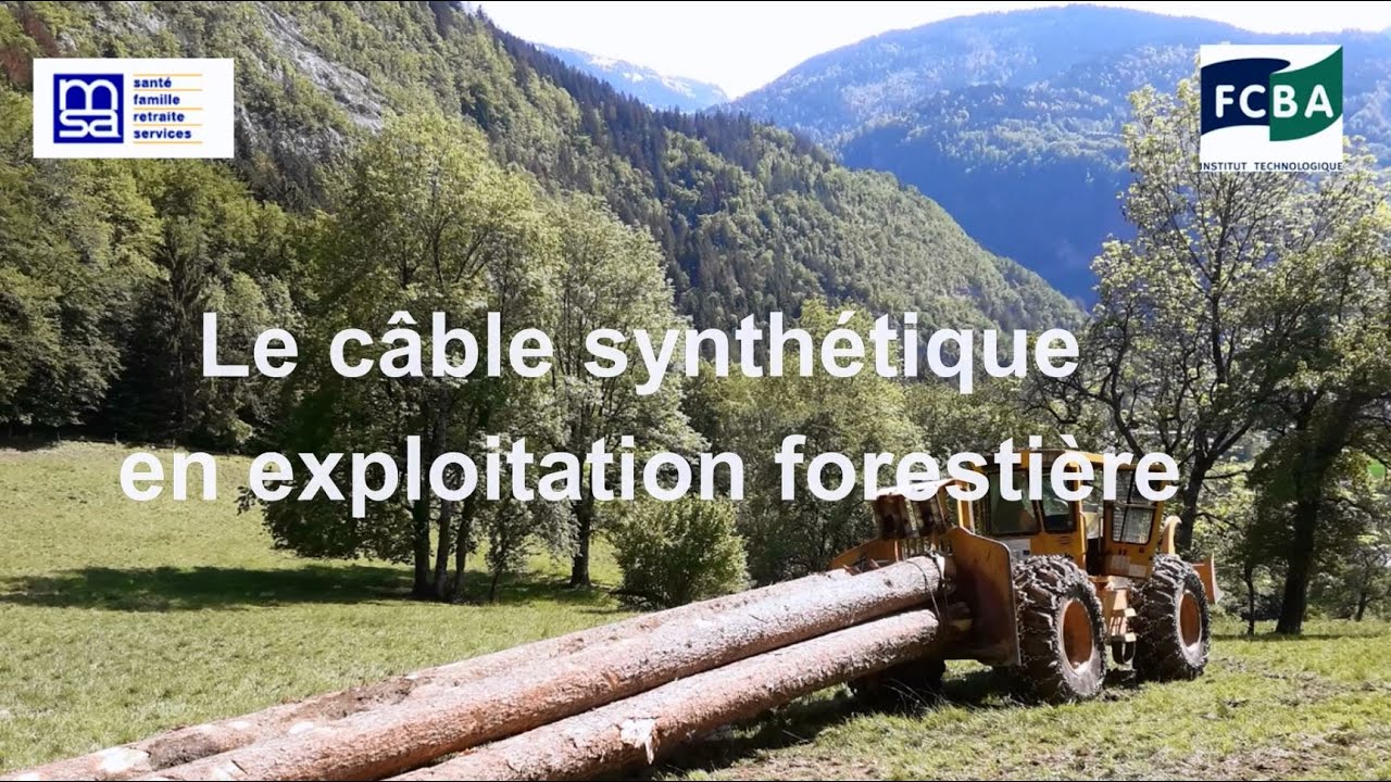 Le câble synthétique en Exploitation Forestière