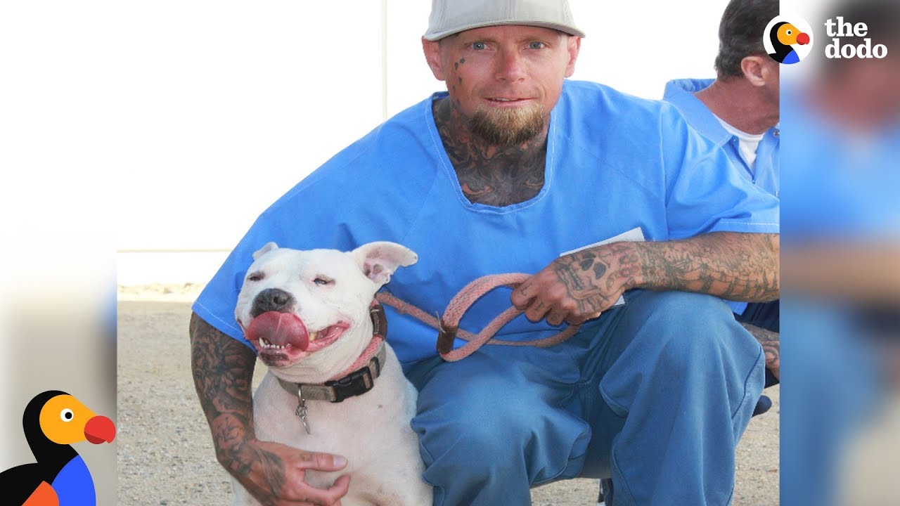 Shelter Dog and Prisoner Give Each Other A Second Chance | The Dodo