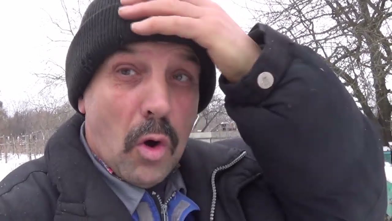 Зимівля бджіл, наслідки та їх причини, як бути з сім