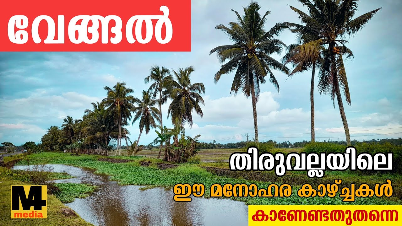 Vengal |Thiruvalla view point |Tourist attractions