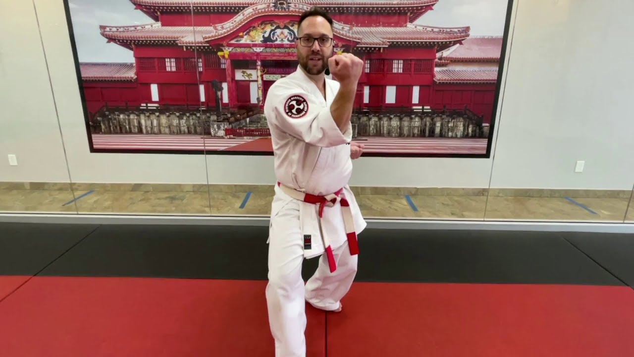 Kihon Kata #3
