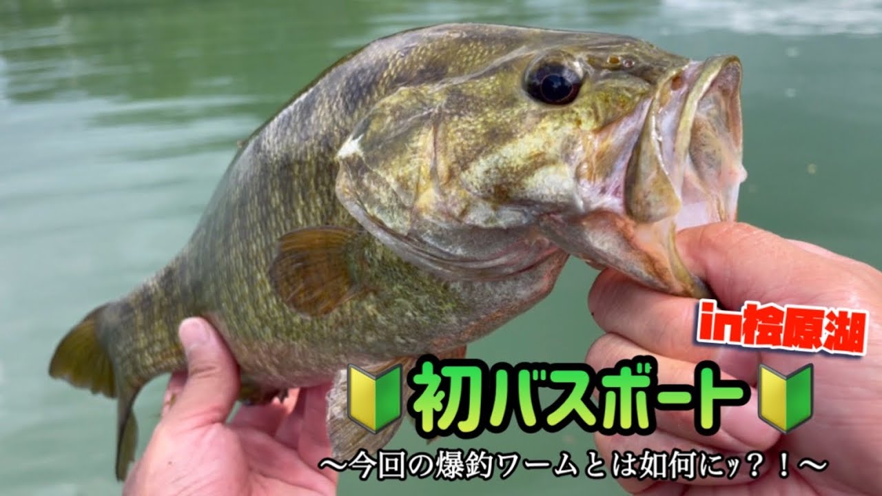 【爆釣!!! 初めてのバスボートin桧原湖】〜師匠と兄弟子と共に〜スモールマウスバス！今回の爆釣ワームとは？！
